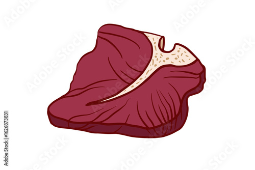 T-bone beef steak, raw fresh meat cut from beef and lamb. Hand drawn outline for meat shop, butchery, market, barbecue, grill, picnic.