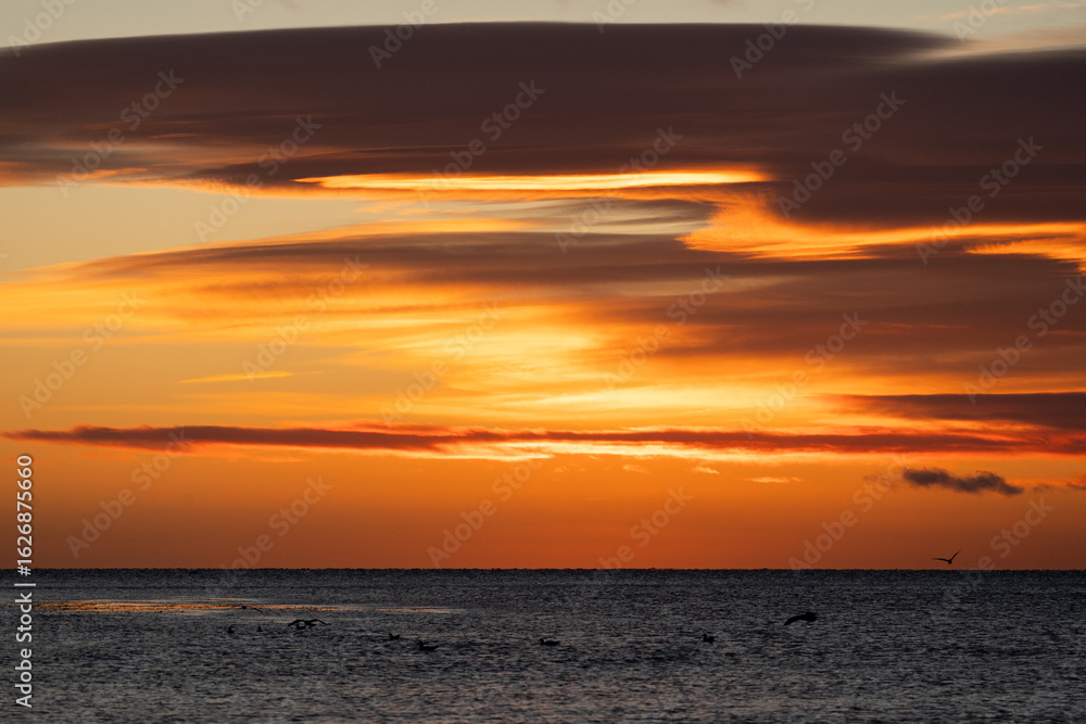 Fototapeta premium flaming sunrise sky water horizon