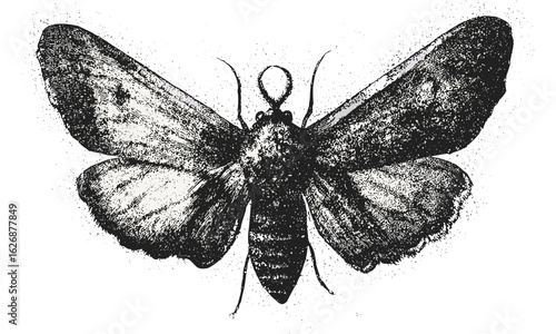 Vintage stipple photocopy effect butterfly or moth collage element, with retro grainy texture. Psychedelic surreal 90s aesthetic tattoo or grunge poster vector illustration, mystical insect art