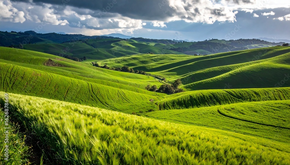 Fototapeta premium Rolling green hills and fields stretch into the distance under a partly cloudy sky, showcasing a vibrant landscape with sunlight.
