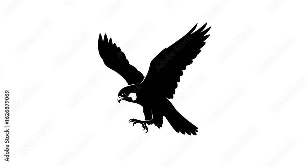 Fototapeta premium Black Silhouette of a Falcon in Flight with Spread Wings.