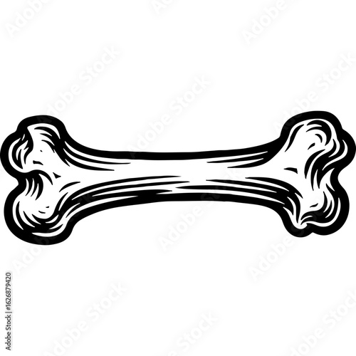 Vintage Halloween Bone Illustration, Hand Drawn Skeleton Element for Spooky Design, Engraved Horror Decoration Graphic