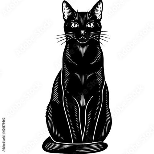 Mysterious black cat illustration sitting upright, a captivating graphic asset for Halloween, witchcraft, and spooky seasonal designs.