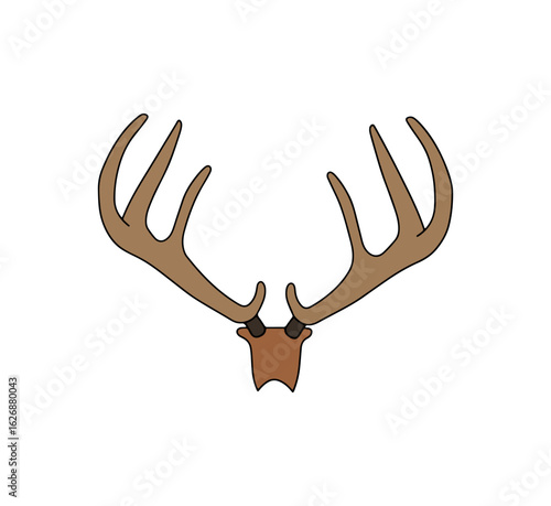 Majestic Deer Antlers Isolated on White