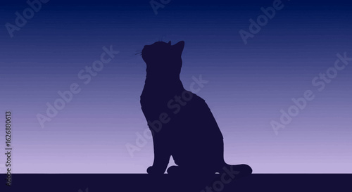 Silhouette of a Cat Looking Upward Against a Gradient Sky.