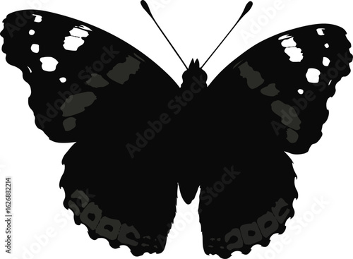 Elegant admiral butterfly silhouette for banner and advertisement design