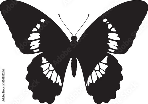 Elegant admiral butterfly silhouette for banner and advertisement design