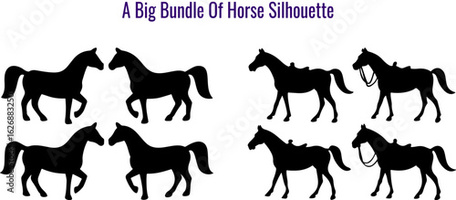 Collection of Horse Silhouettes in Various Poses on White Background silhouette