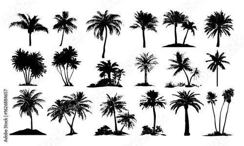 Vector palm tree silhouettes for tropical landscapes, jungle and beach designs, exotic flora, desert and rainforest elements. Ideal for island vacation, summer art, botanical illustrations