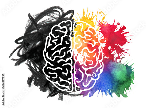 Conceptual Illustration of the Human Brain Depicting the Contrast Between Logical and Creative Thinking with One Side in Monochrome and the Other Vibrantly Colored