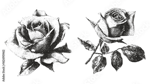 Y2k coquette rose collage with vintage stipple effect and monochrome photocopy style. Gothic romantic grunge surreal poster vector illustration. Retro 90s tattoo, nostalgic feminine art, modern