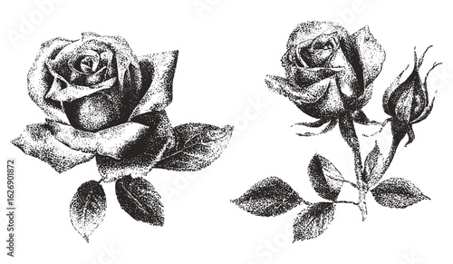 Vintage stipple rose flowers with monochrome photocopy effect, y2k coquette collage design. Romantic grunge gothic surreal poster elements. Vector illustration, retro tattoo, nostalgic style