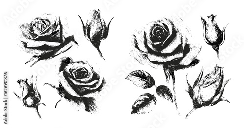 Monochrome rosebud collage with vintage stipple effect, y2k coquette style. Photocopy retro design for romantic grunge gothic surreal poster. Vector art, 90s nostalgia, feminine aesthetic