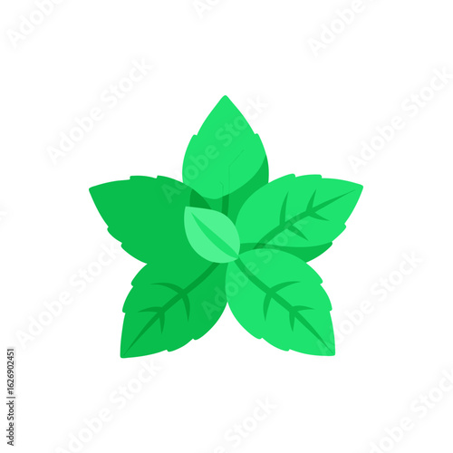 Green mint leaves isolated on transparent background