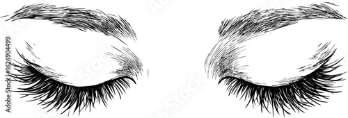Black and white illustration of closed eyelashes and eyebrows, delicate sketch. Vector illustration