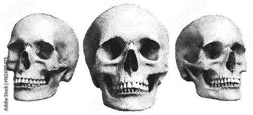 Halftone stipple skull design with grunge punk vibe, pop art dotted skeleton head. Vector illustration for vintage emo gothic art, rock music album cover, collage banners, dark horror style