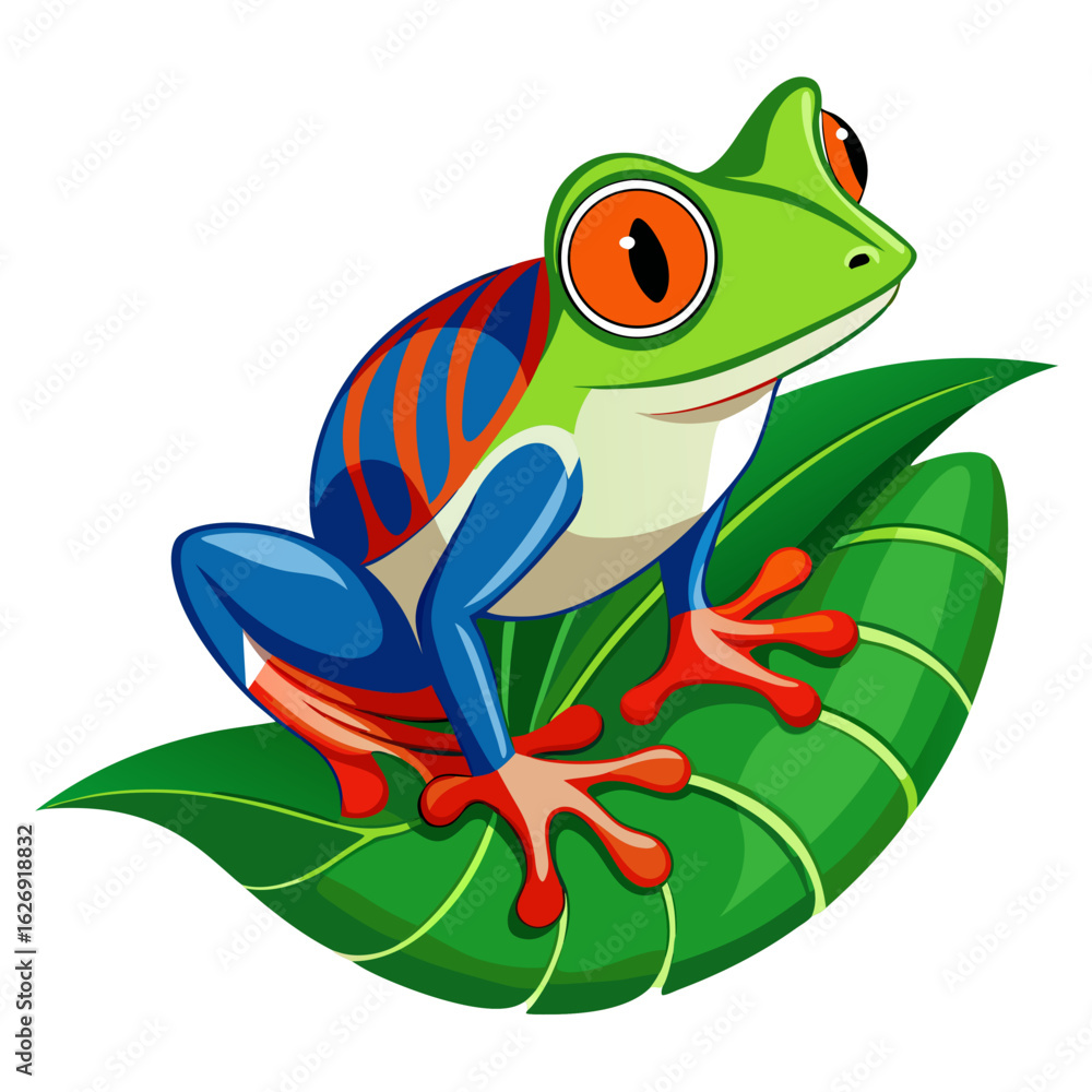 Naklejka premium red eyed tree frog
