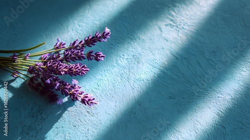 Purple lavender sprigs casting shadows on a textured blue surface with light stripes