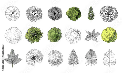 Landscape planning vector set with tree top views, leaf icons, and botanical plant illustrations. Includes shrub outlines, forest canopy shapes, garden symbols, palm, fern, oak, pine, cedar elements