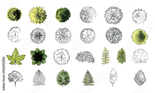 Vector tree top view collection with leaf icons and plant illustrations for landscape design and architecture. Includes botanical sketches, foliage symbols, garden patterns, nature plans