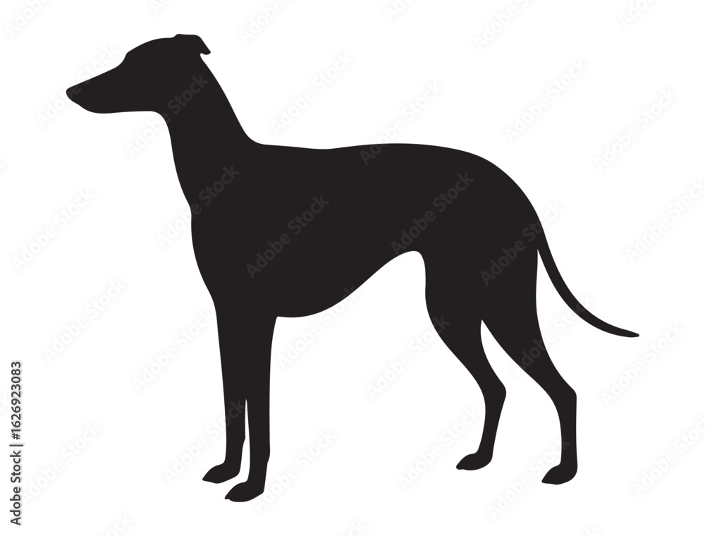 Fototapeta premium GREYHOUND DOG SILHOUETTE