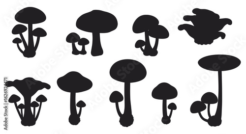 Collection of Mushroom Silhouettes for Design Elements and Natural Illustrations