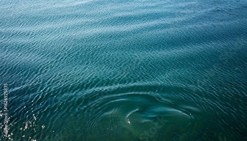 the flat lay perspective highlights the contrast between water and background
