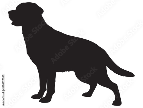 LABRADOR RETRIEVER DOG SILHOUETTE