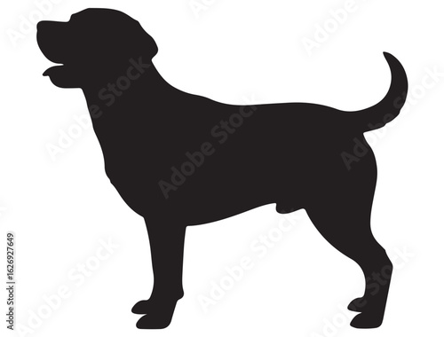 LABRADOR RETRIEVER DOG SILHOUETTE