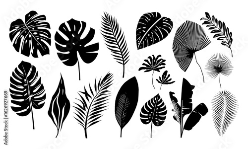 Tropical leaf vector illustration featuring monochrome silhouette collection for nature, summer, and graphic design. Includes palm, fern, philodendron, banana, and exotic botanical foliage, decorative
