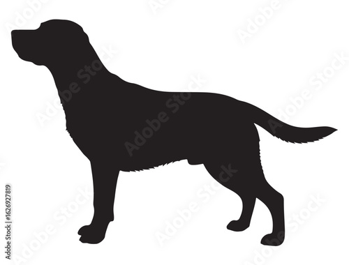 LABRADOR RETRIEVER DOG SILHOUETTE