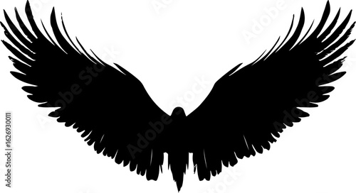 pair of black feathered wings