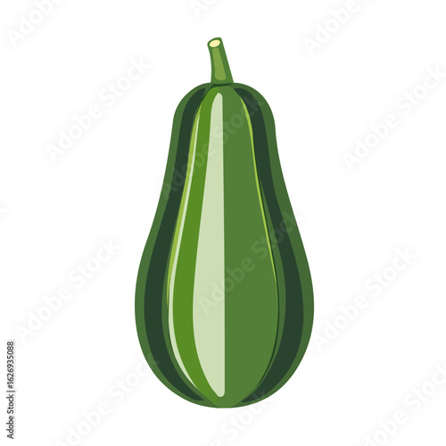 Simple Modern flat icon of a green squash in a minimalistic 2D style, clean and simple design, vector illustration on white background, EPS file. vectorized