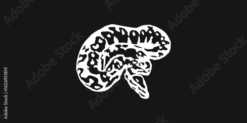 Python T Shirt Vector Design for Programmers and Coding Enthusiasts