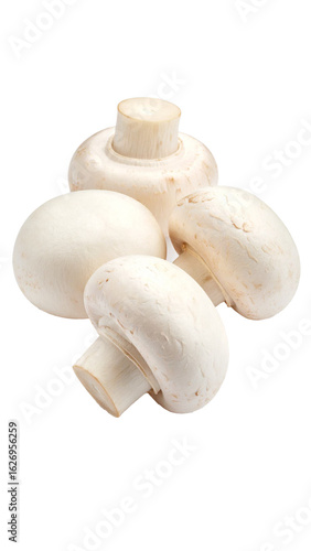 Four fresh button mushrooms isolated on transparent background