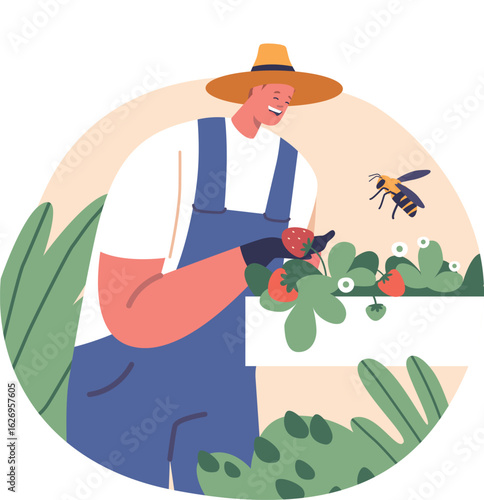 Farmer cultivating strawberry at farm