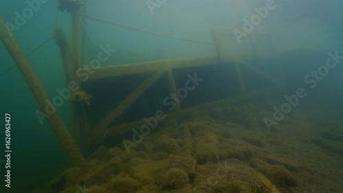 Scuba diving in the lake full of fish