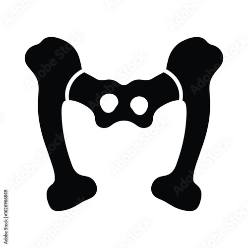 Black silhouette of pelvic bone structure anatomy pelvis