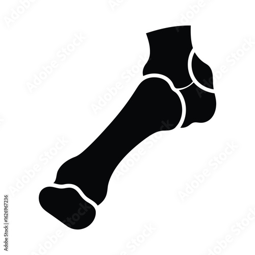 Foot bone silhouette anatomy black