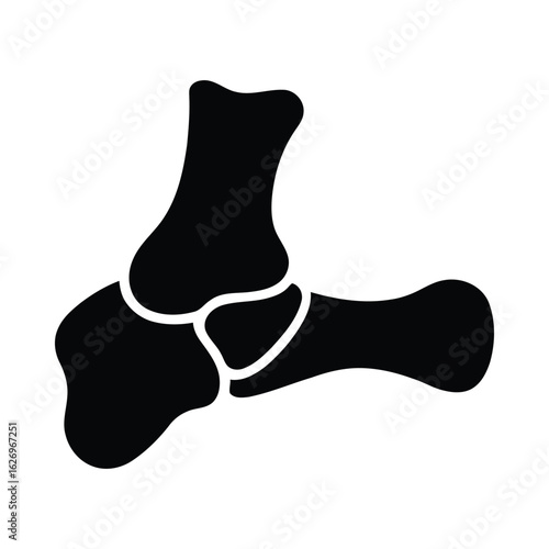 Foot bone silhouette anatomy skeletal