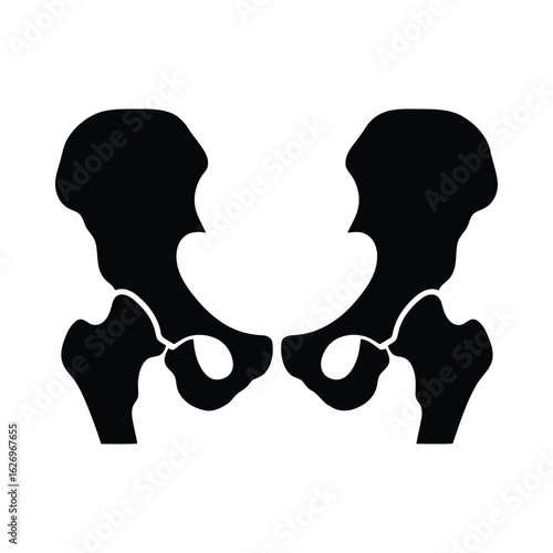 Pelvic bone silhouette black pelvis anatomy