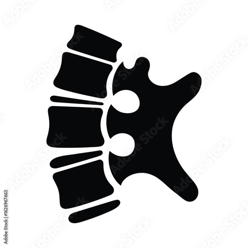 Thoracic vertebrae silhouette spine anatomy