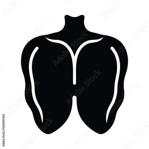 Torso silhouette anatomical chest bone anatomy