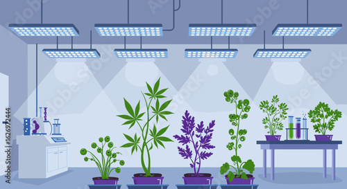 Indoor hydroponic garden with various plants and laboratory equipment under led lights. Vector illustration