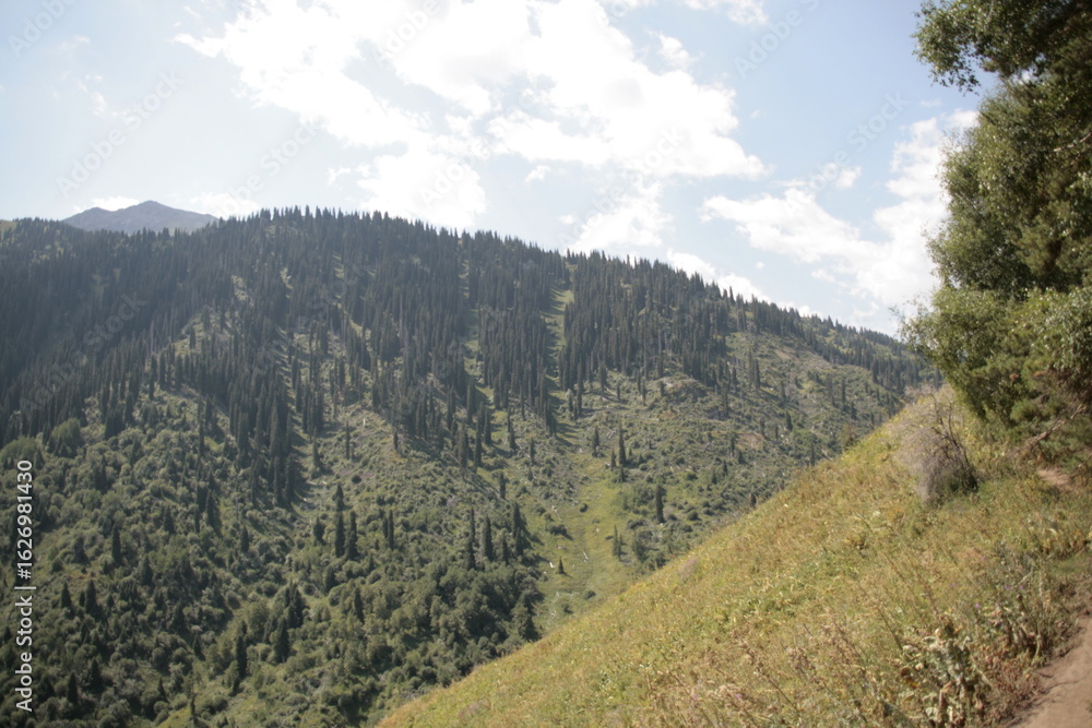 Obraz premium mountain landscape in summer