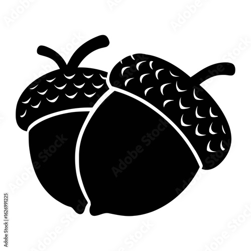 Two acorns isolated on white background, representing autumn and nature