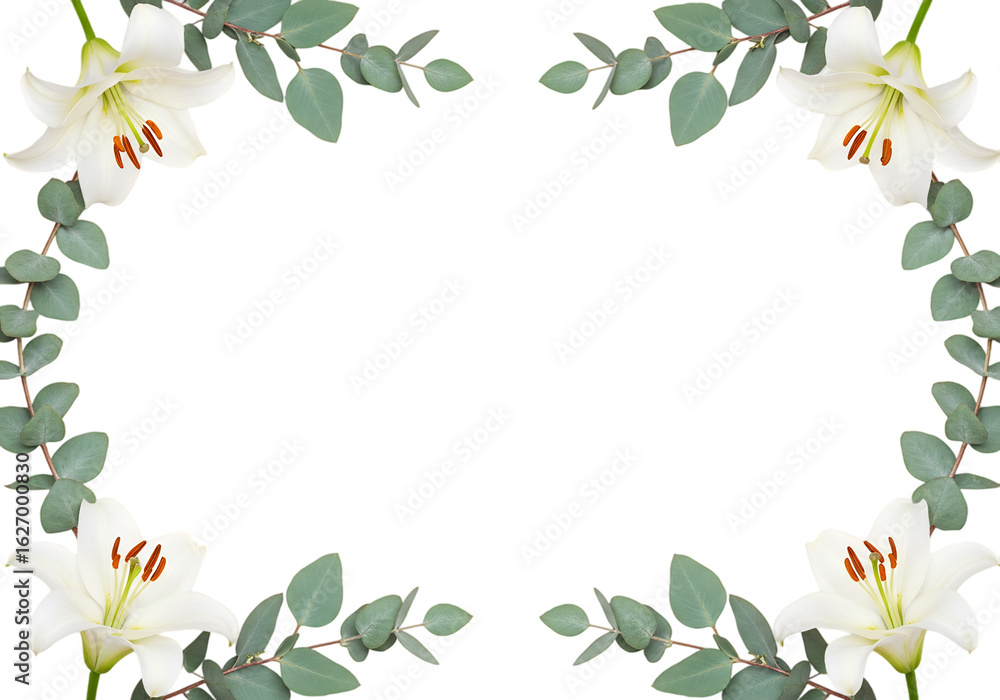 Naklejka premium Floral Design Border with White Lilies and Eucalyptus Leaves on Transparent Background - Elegant Decor for Invitations and Crafts