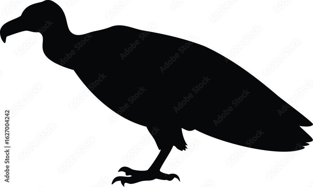Obraz premium Vulture silhouette showcases ominous presence, perched with its sharp beak and talons visible