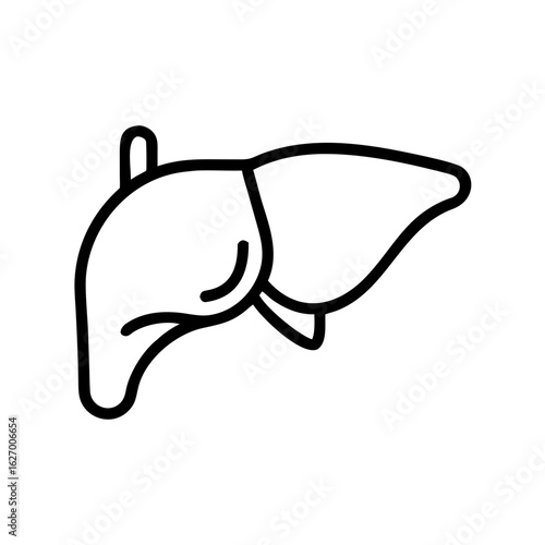 Liver organ illustration in simple line art design  