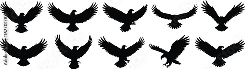 Set of eagle silhouettes, flying bird icons, varied wing positions and angles, black raptor vector illustration for nature, design use